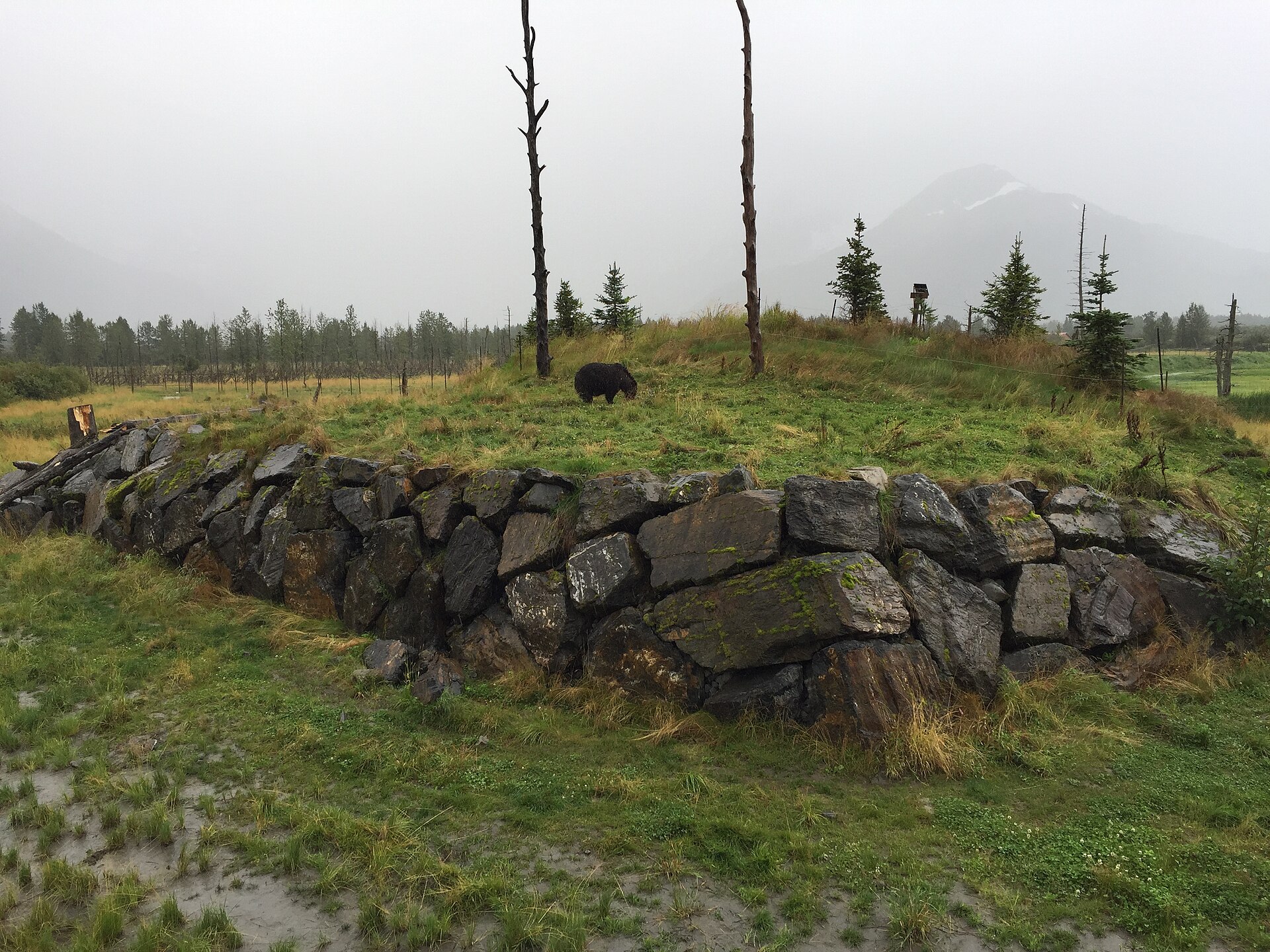 Alaska Wildlife Conservation Center