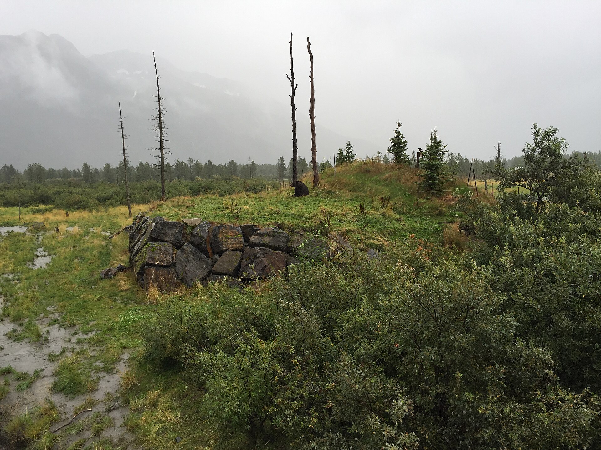 Alaska Wildlife Conservation Center