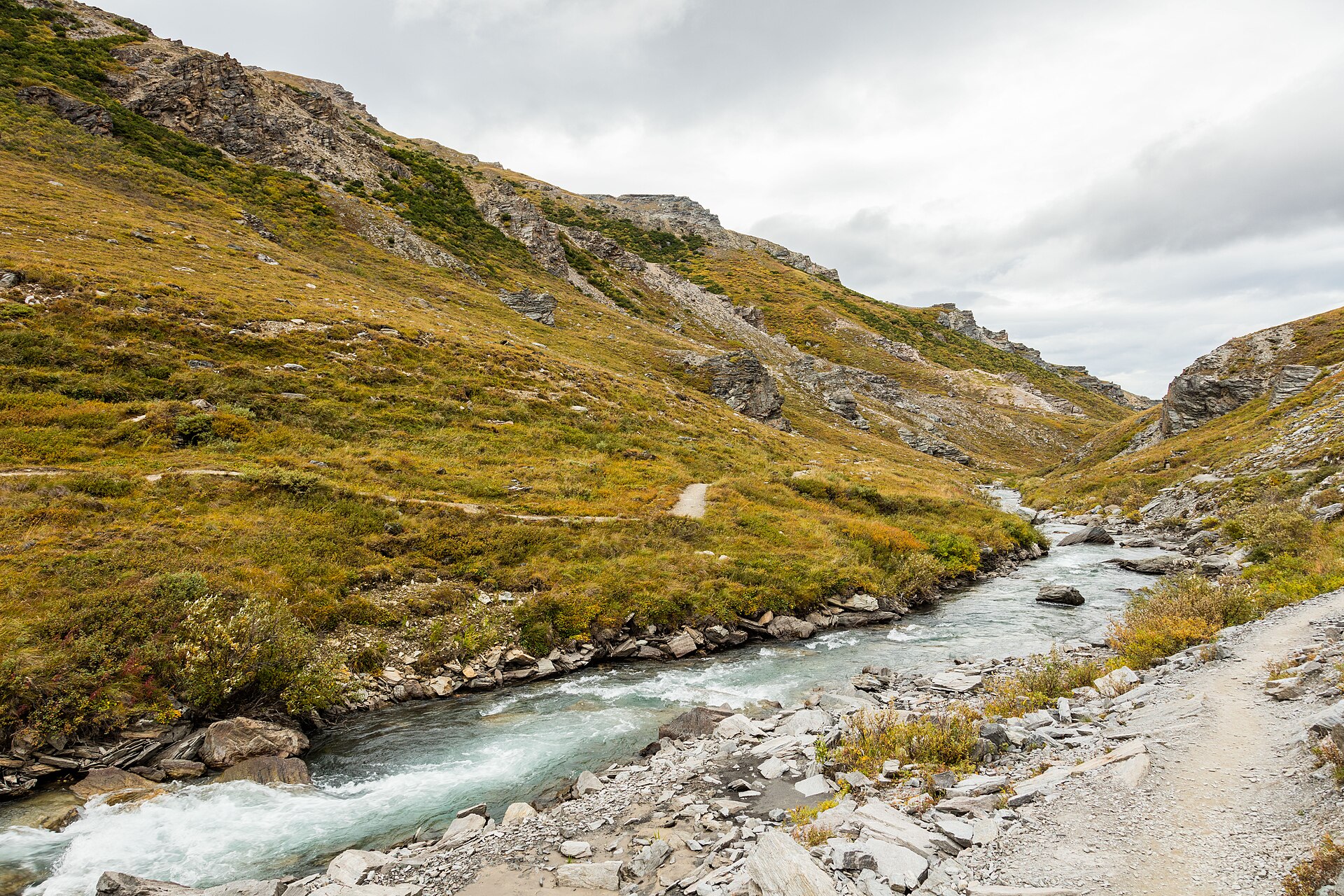 Savage River Trail